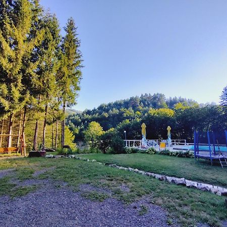 Cabana Cerbu Bozovici Exteriér fotografie