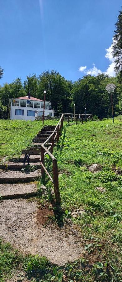Cabana Cerbu Bozovici Exteriér fotografie