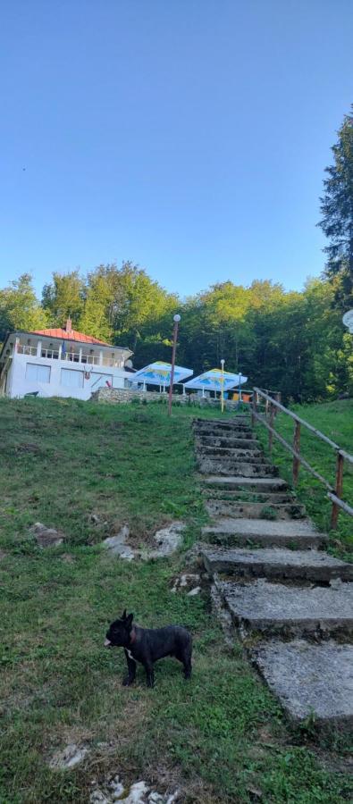 Cabana Cerbu Bozovici Exteriér fotografie