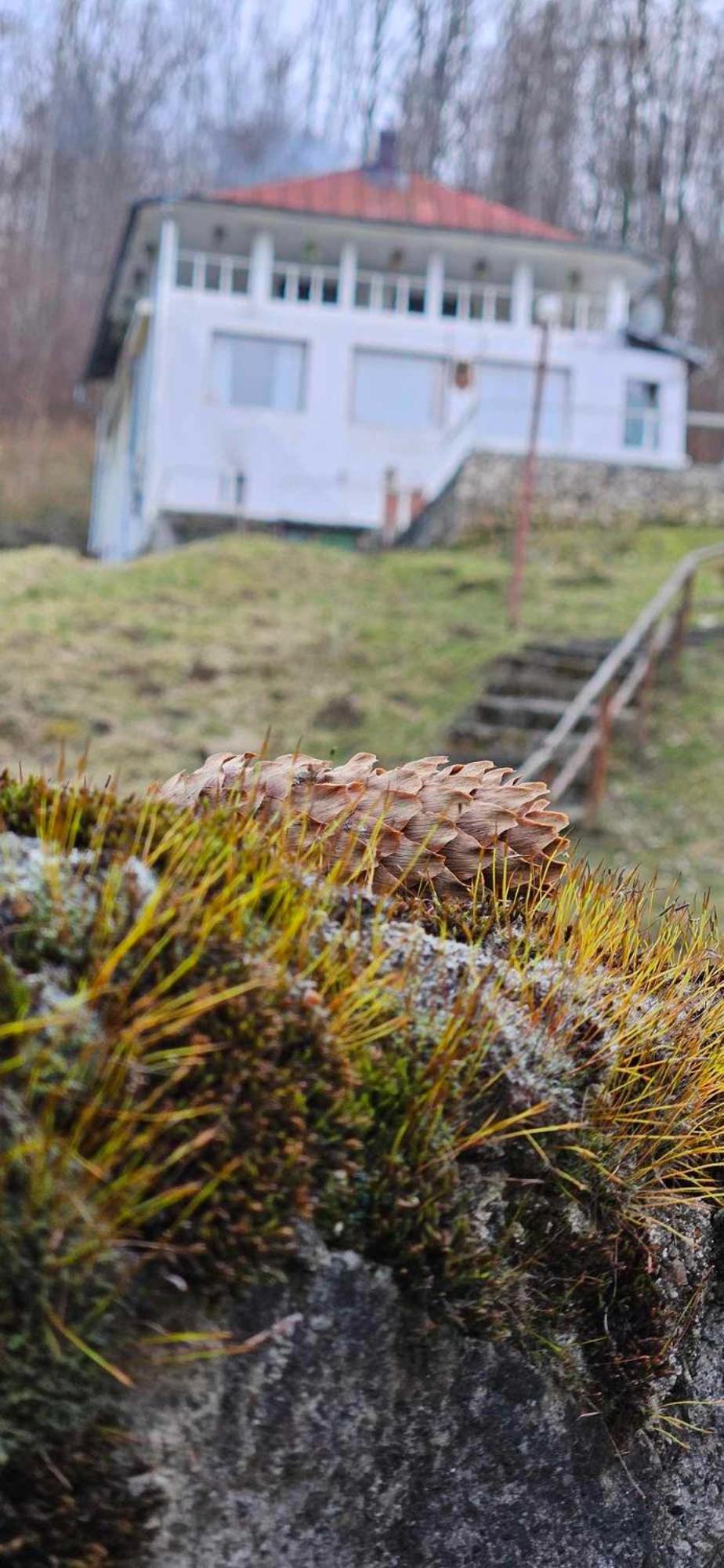 Cabana Cerbu Bozovici Exteriér fotografie